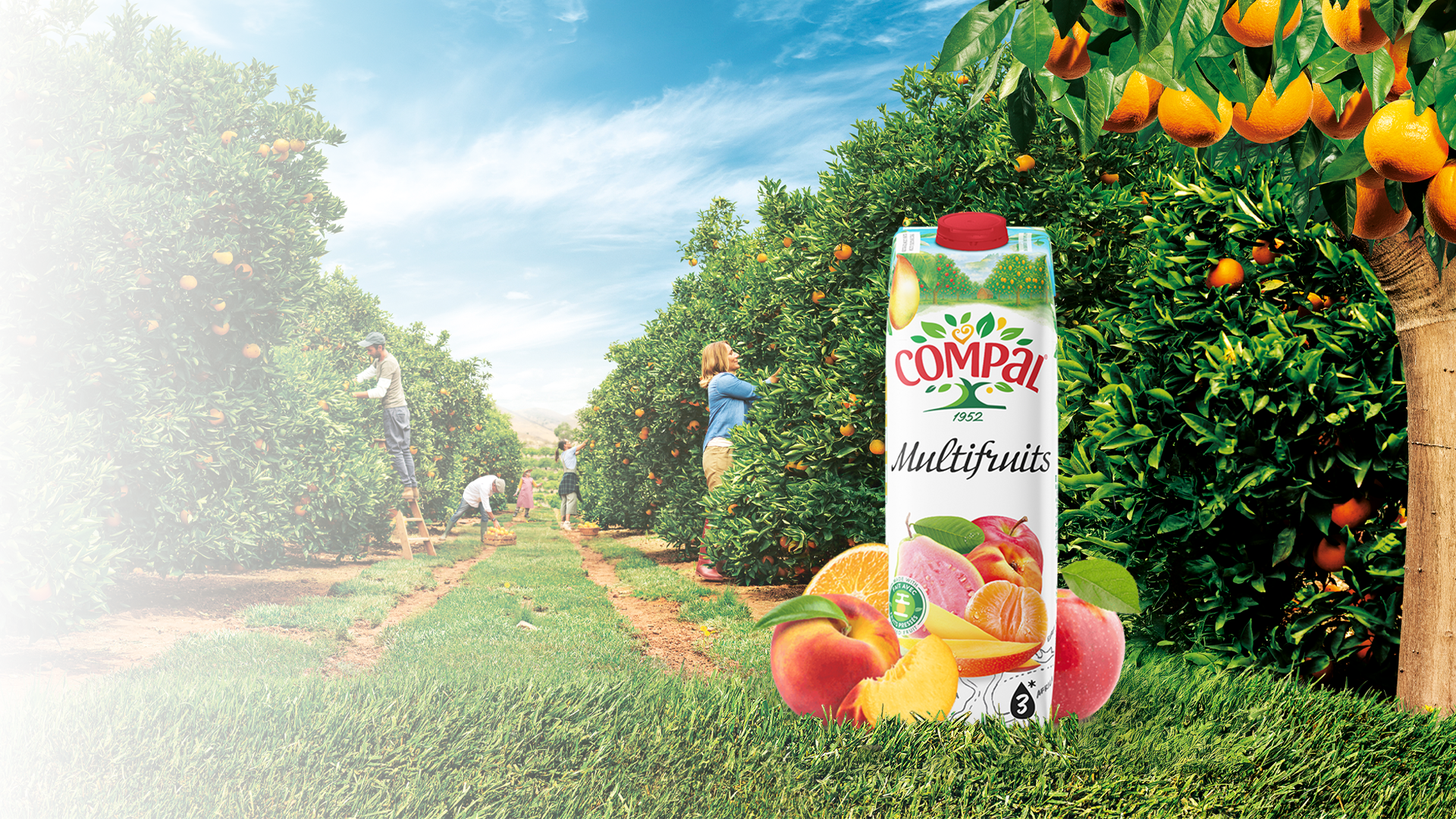 Multi Fruits Classic