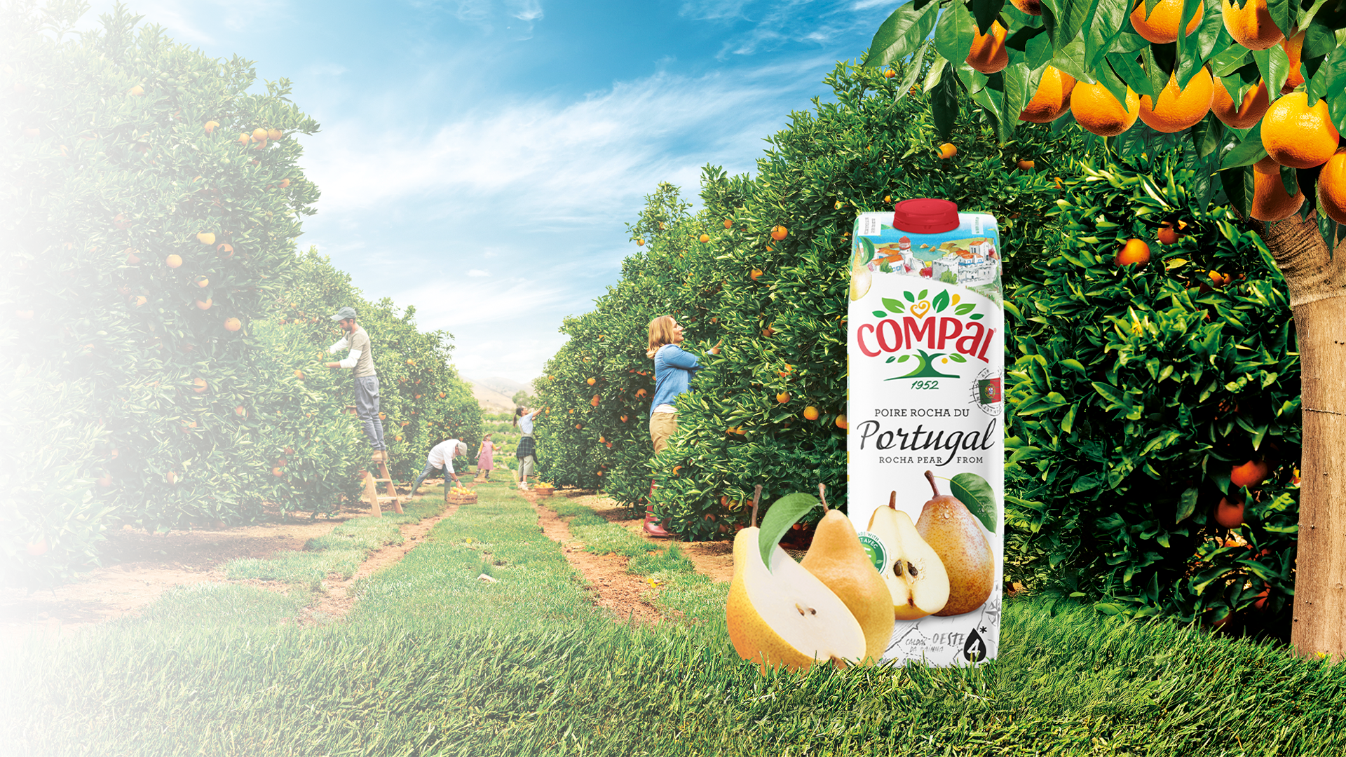 Rocha Pears From Portugal 