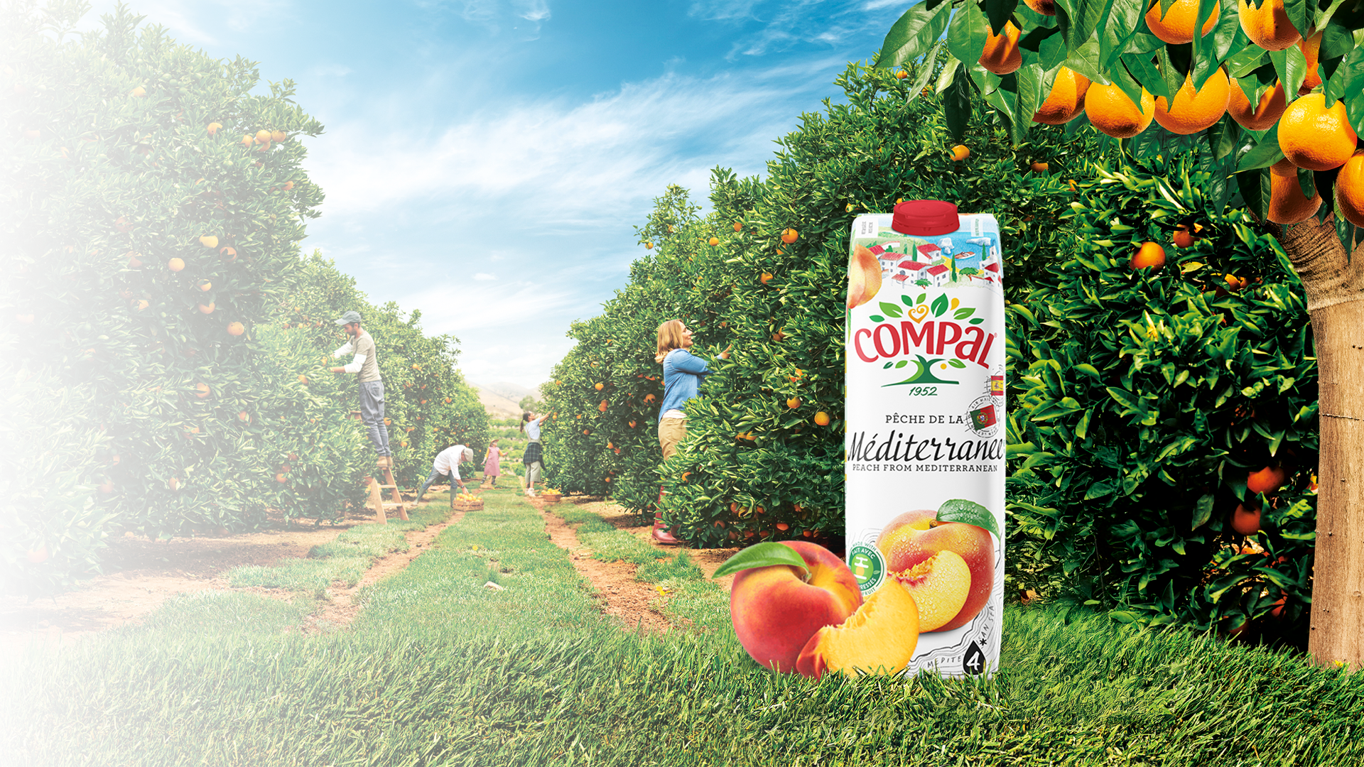 Sumos & Néctares Pêssego