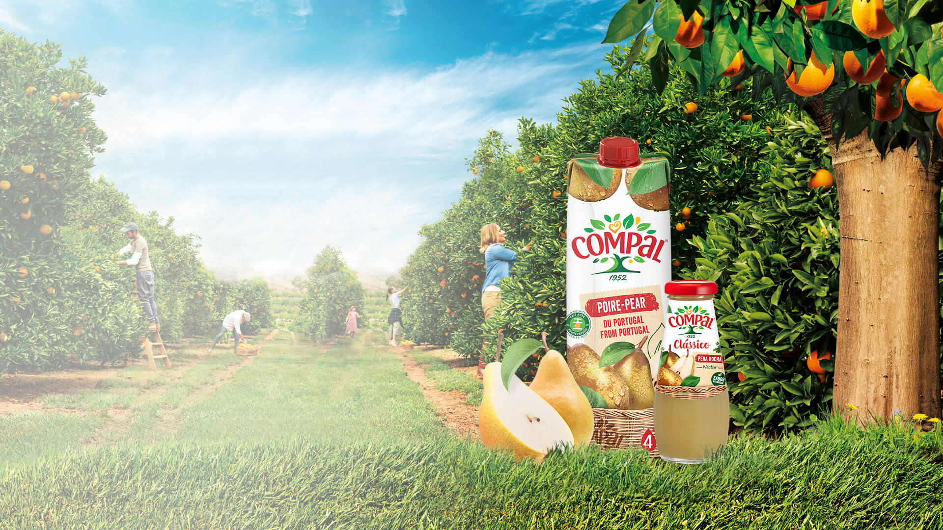 Rocha Pears From Portugal 