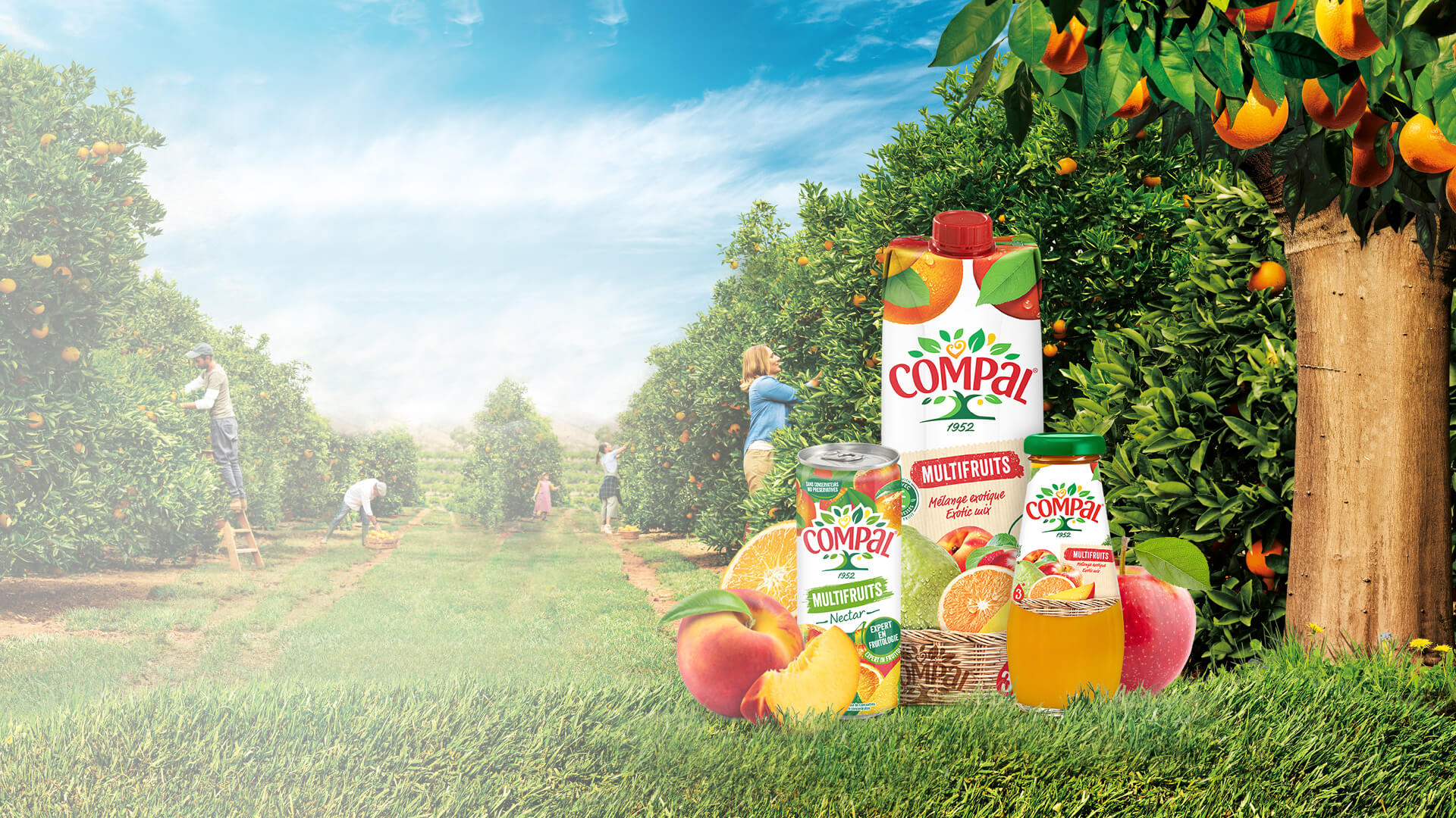 Sumos &amp; N&#233;ctares de Multifrutos